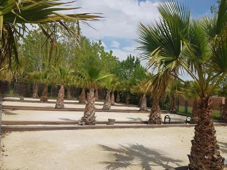 Mobil A La Tamarissiere * Le Grau-d'Agde